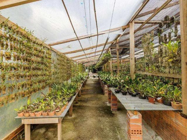 Terreno venda em Região Geográfica Imediata de Curitiba, Região Metropolitana de Curitiba