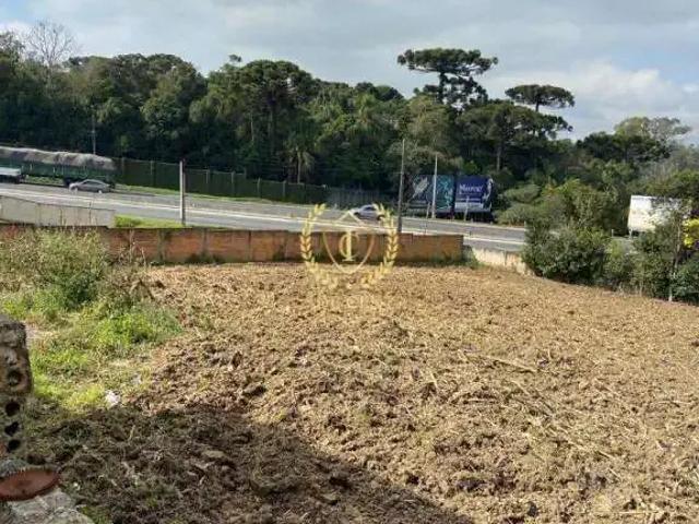 Terreno venda em Cachoeira, São José dos Pinhais
