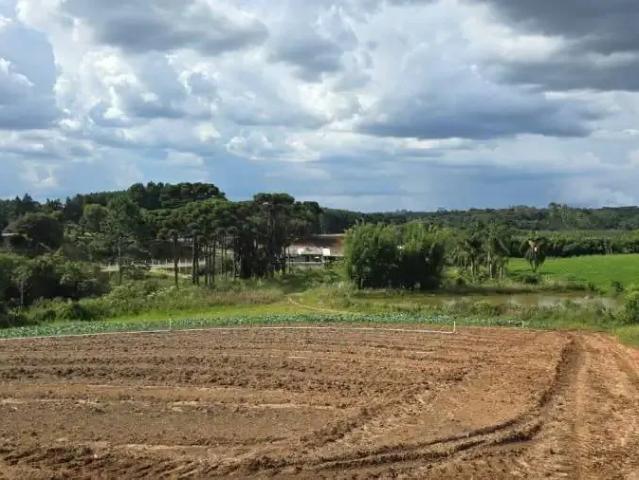 Terreno venda em Região Geográfica Imediata de Curitiba, Região Metropolitana de Curitiba