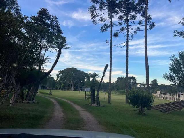 Terreno venda em Região Geográfica Imediata de Curitiba, Região Metropolitana de Curitiba