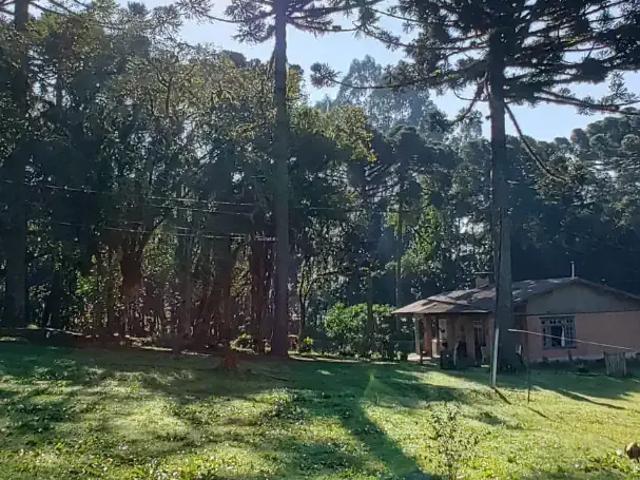 Terreno venda em Região Geográfica Imediata de Curitiba, Região Metropolitana de Curitiba
