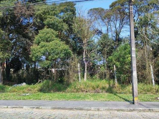 Terreno venda em Região Geográfica Imediata de Curitiba, Região Metropolitana de Curitiba