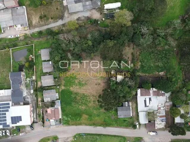 Terreno venda em Jurema, São José dos Pinhais