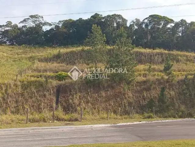 Terreno venda em Região Geográfica Imediata de Florianópolis, São José