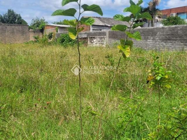 Terreno venda em São Leopoldo