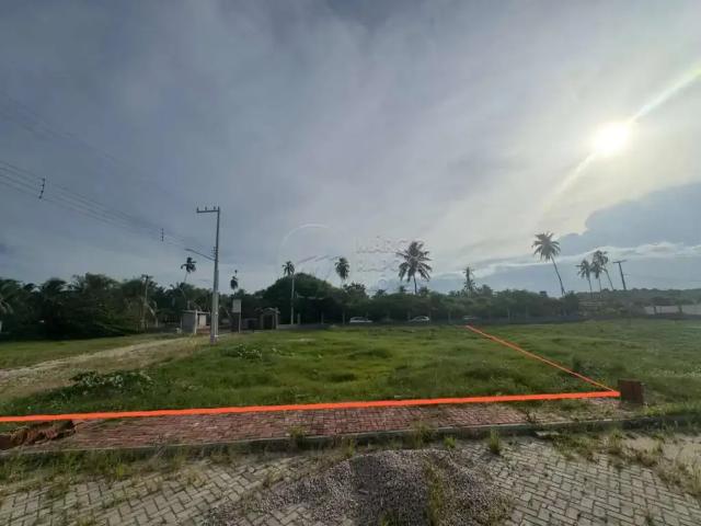 Terreno venda em São Miguel dos Milagres