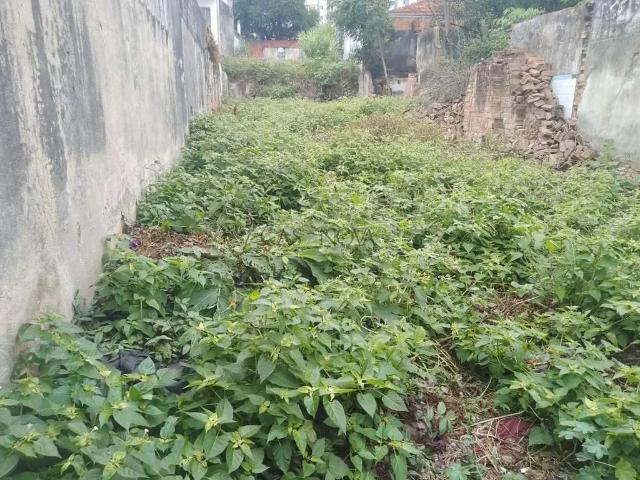 Terreno venda em Região Imediata de São Paulo, Região Metropolitana de São Paulo