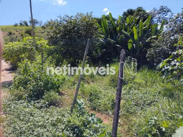 Terreno venda em Região Geográfica Imediata de Ponte Nova, São Pedro dos Ferros
