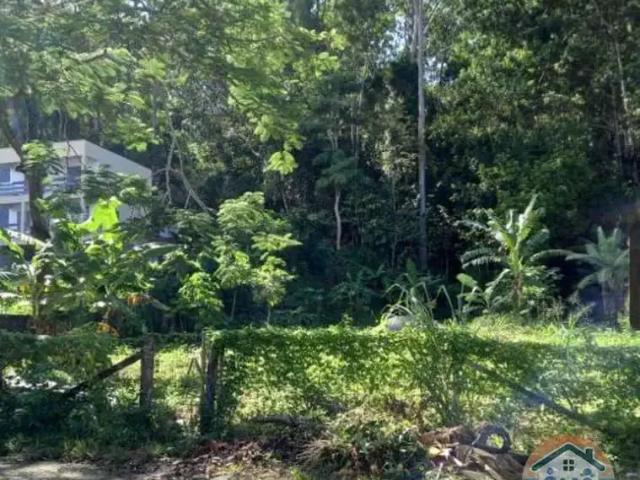 Terreno venda em Região Imediata de Caraguatatuba-Ubatuba-São Sebastião, Região Metropolitana do Vale do Paraíba e Litoral Norte