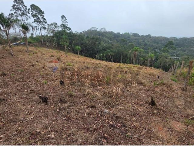 Terreno venda em Santa Isabel