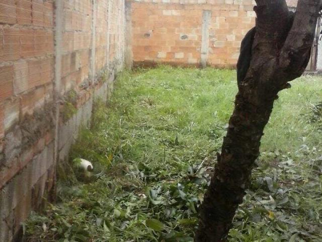 Terreno venda em Região Geográfica Imediata de Belo Horizonte, Região Metropolitana de Belo Horizonte