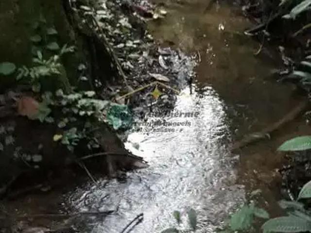 Terreno venda em Região Imediata de Taubaté-Pindamonhangaba, Região Metropolitana do Vale do Paraíba e Litoral Norte