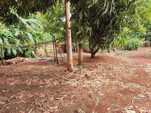 Terreno venda em Região Imediata de Ribeirão Preto, Região Metropolitana de Ribeirão Preto