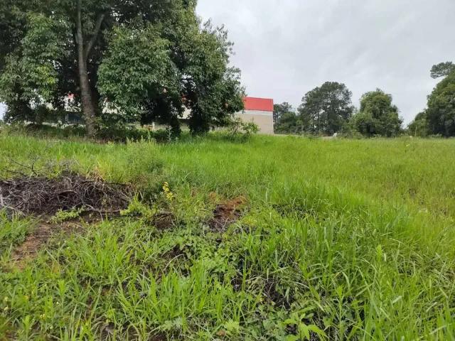 Terreno venda em Região Imediata de Sorocaba, Região Metropolitana de Sorocaba