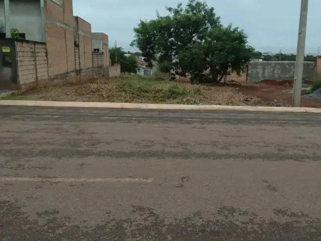 Terreno venda em Região Geográfica Imediata de Sorriso, Sorriso