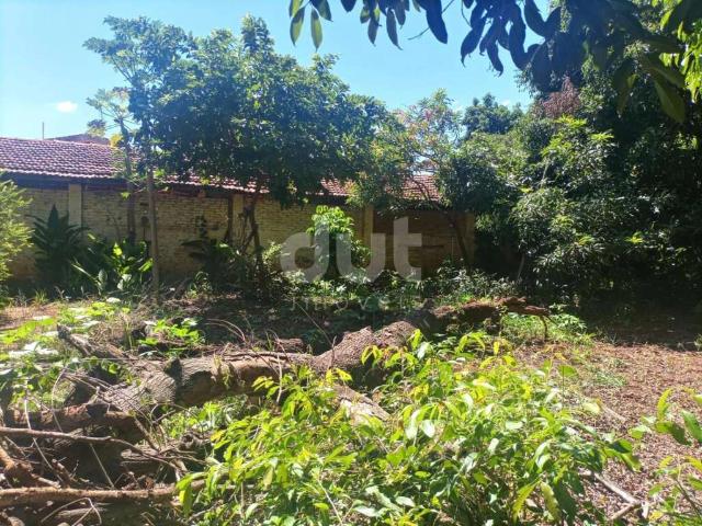Terreno venda em Sumaré