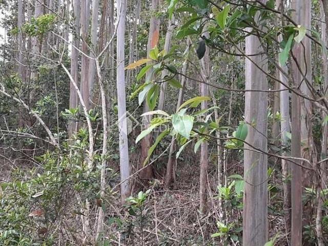 Terreno venda em Região Geográfica Imediata de Lajeado, Tabaí