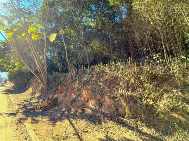 Terreno venda em Chácara dos Pintos, Ribeirão Pires