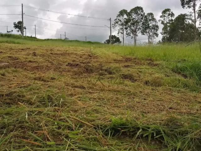 Terreno venda em Região Imediata de Taubaté-Pindamonhangaba, Região Metropolitana do Vale do Paraíba e Litoral Norte