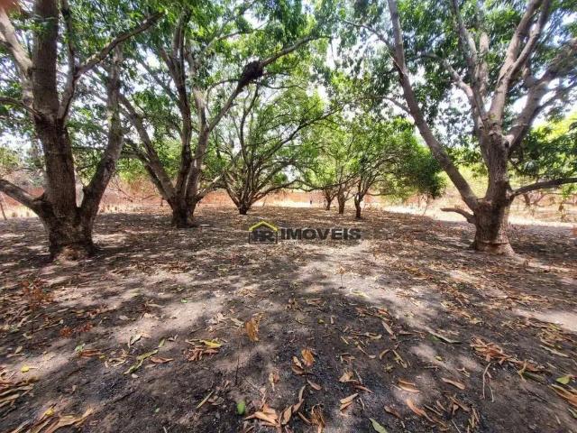 Terreno venda em Simplício Mendes, Piauí