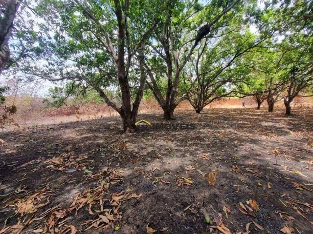 Terreno venda em Região Geográfica Imediata de Teresina, Região Integrada de Desenvolvimento da Grande Teresina