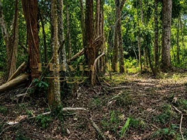 Terreno venda em Teresópolis, Região Geográfica Intermediária de Petrópolis
