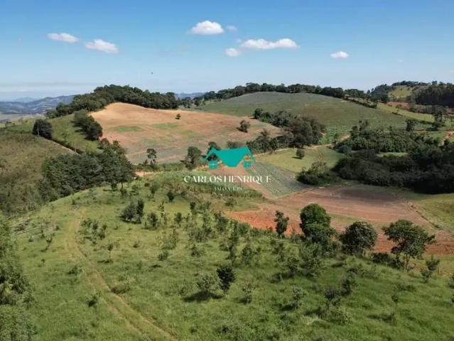 Terreno venda em Região Geográfica Imediata de Toledo, Toledo