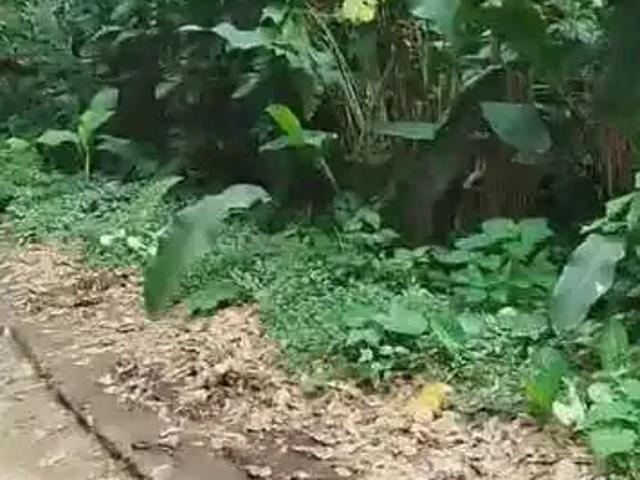 Terreno venda em Região Imediata de Caraguatatuba-Ubatuba-São Sebastião, Região Metropolitana do Vale do Paraíba e Litoral Norte