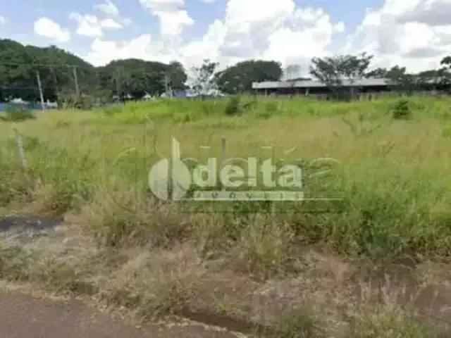 Terreno venda em Região Geográfica Imediata de Uberlândia, Oliveira Fortes