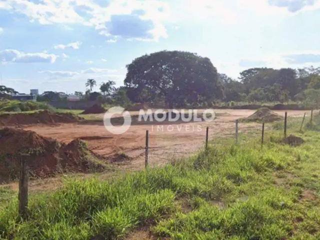 Terreno venda em Região Geográfica Imediata de Uberlândia, Oliveira Fortes