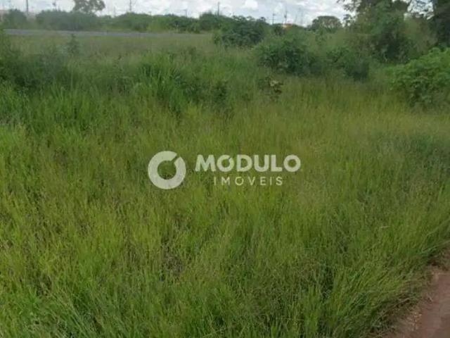 Terreno venda em Região Geográfica Imediata de Uberlândia, Oliveira Fortes
