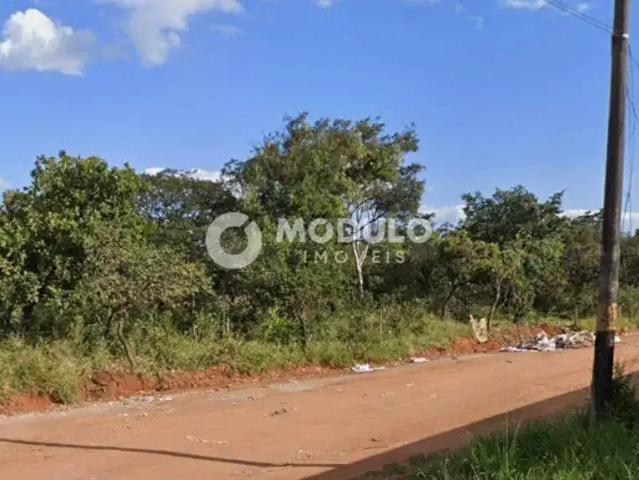 Terreno venda em Região Geográfica Imediata de Uberlândia, Oliveira Fortes
