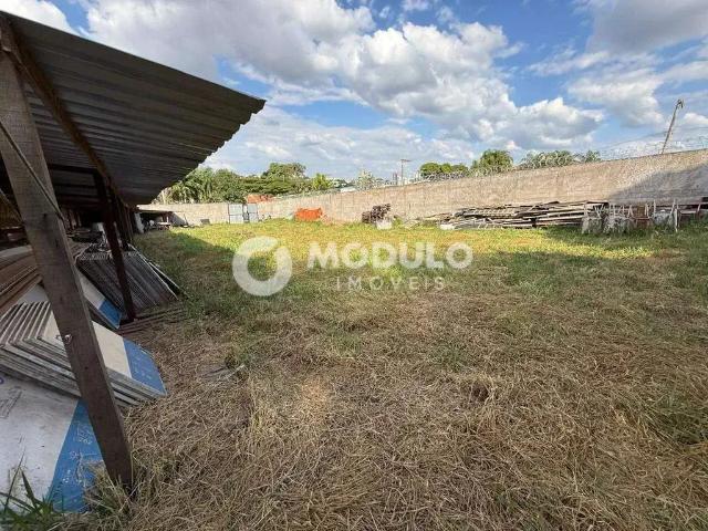 Terreno venda em Região Geográfica Imediata de Uberlândia, Oliveira Fortes