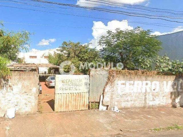 Terreno venda em Custódio Pereira, Uberlândia