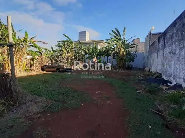 Terreno venda em Região Geográfica Imediata de Uberlândia, Oliveira Fortes