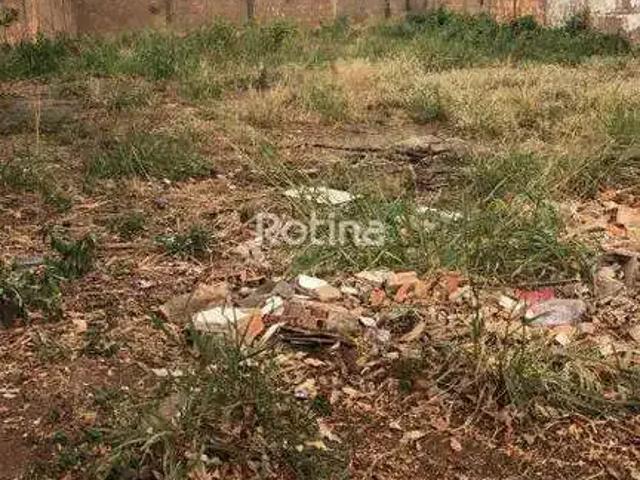 Terreno venda em Região Geográfica Imediata de Uberlândia, Oliveira Fortes