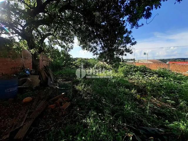 Terreno venda em Região Geográfica Imediata de Uberlândia, Oliveira Fortes
