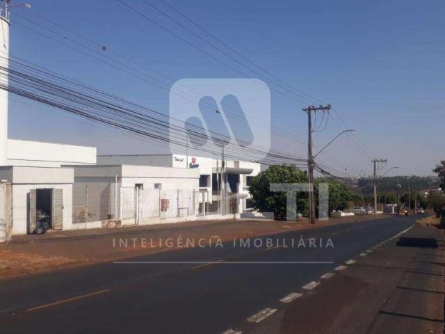 Terreno venda em Região Geográfica Imediata de Uberlândia, Oliveira Fortes