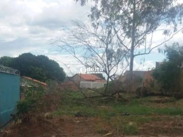 Terreno venda em Jardim Canaã, Uberlândia