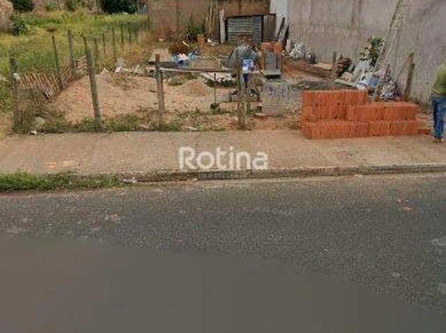 Terreno venda em Jardim Holanda, Uberlândia