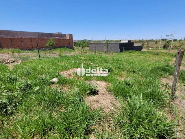 Terreno venda em Jardim Holanda, Uberlândia
