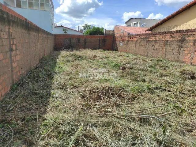 Terreno venda em Região Geográfica Imediata de Uberlândia, Oliveira Fortes