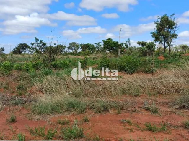 Terreno venda em Setor Sul, Uberlândia