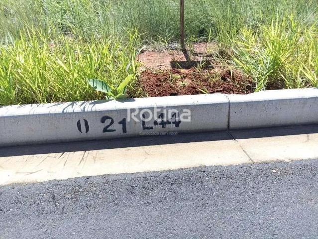 Terreno venda em Região Geográfica Imediata de Uberlândia, Oliveira Fortes