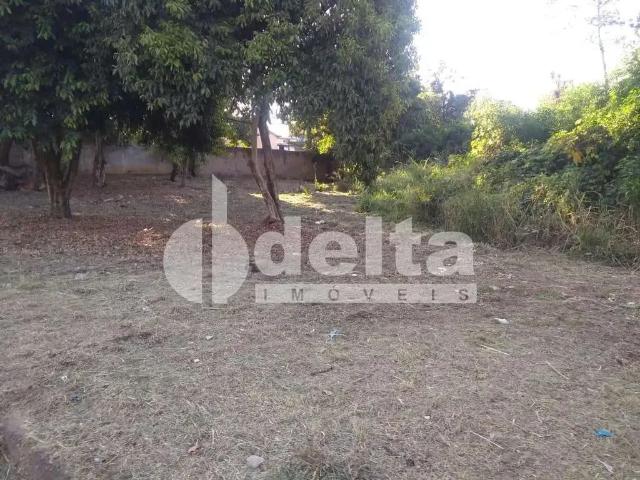 Terreno venda em Luizote de Freitas, Uberlândia