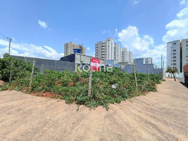Terreno venda em Setor Norte, Uberlândia