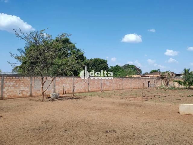 Terreno venda em Miraporanga, Uberlândia