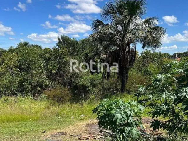 Terreno venda em Região Geográfica Imediata de Uberlândia, Oliveira Fortes