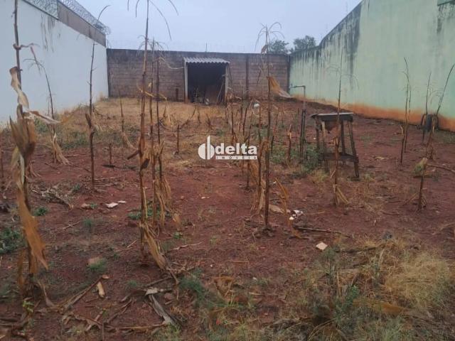Terreno venda em Setor Sul, Uberlândia