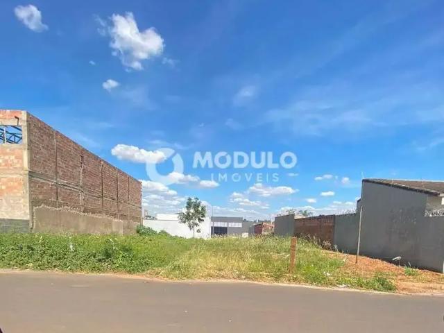Terreno venda em Região Geográfica Imediata de Uberlândia, Oliveira Fortes